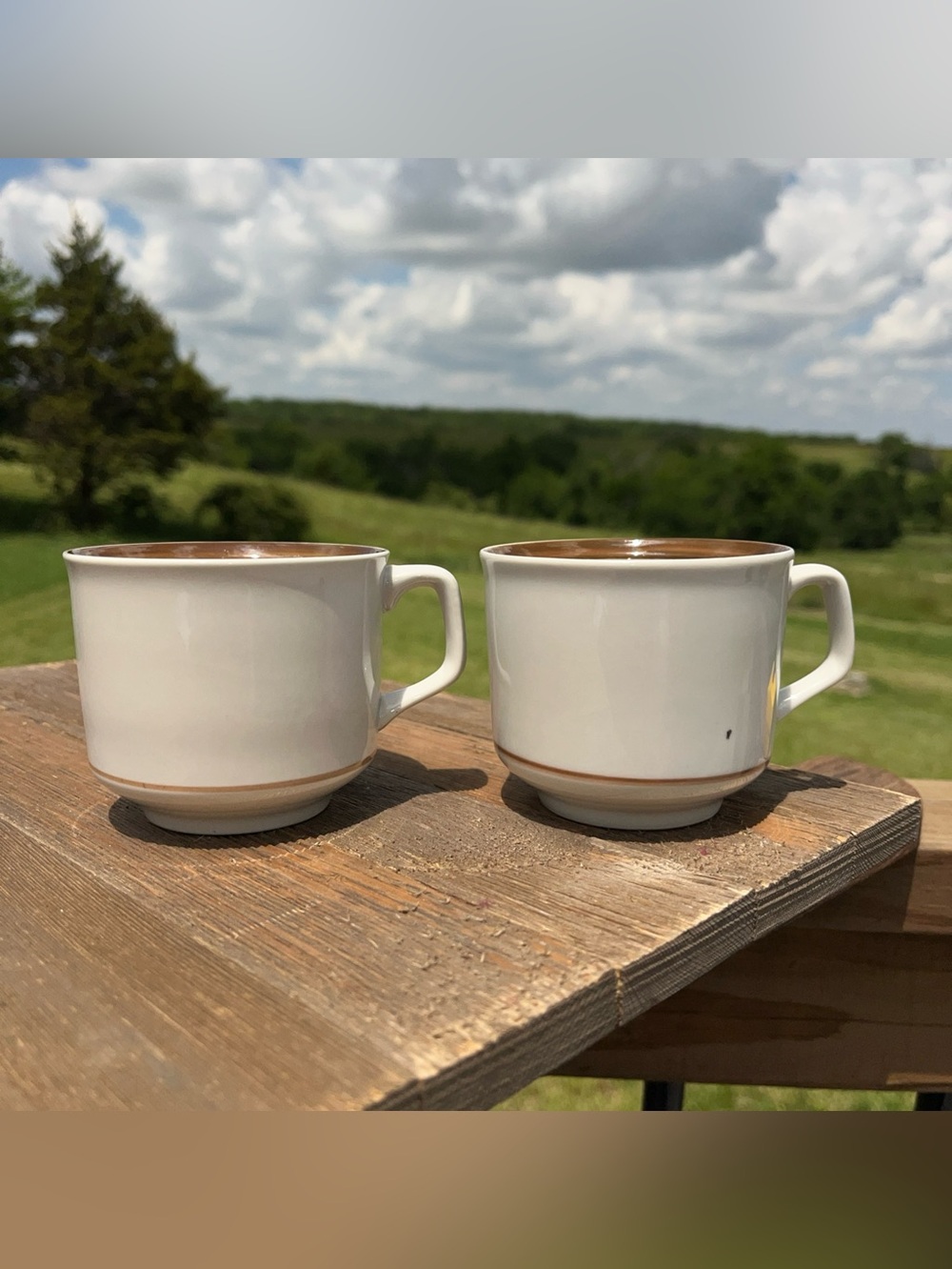 Brown Monterrey Stoneware Mugs Set Of 2 Vintage-Made in Japan